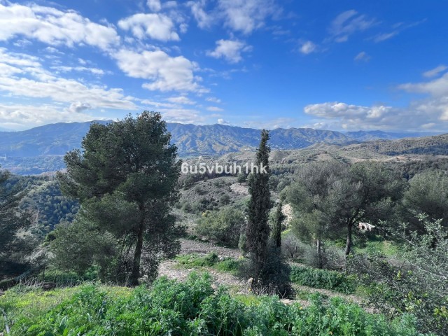 Kommerziell in Málaga