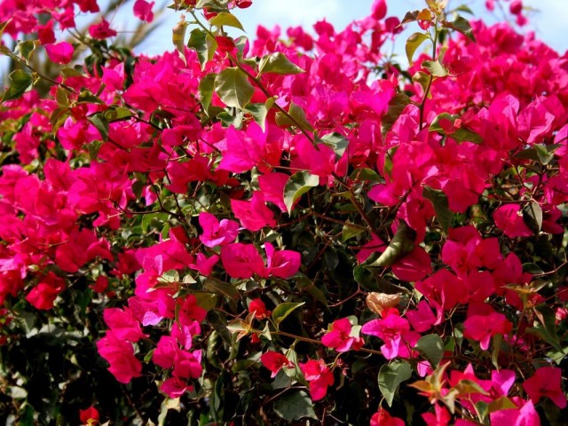 Commercial in Marbella