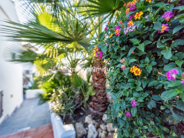 5 Makuuhuoneen Huvila El Chaparral