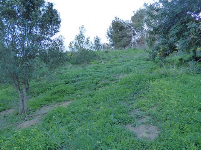 Plot, Benalmadena Pueblo, DVG-RSMP0013