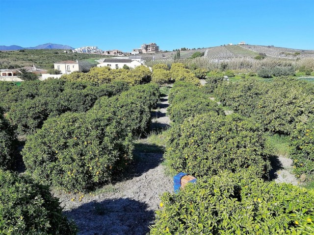 Villa con 3 Dormitorios  en San Luis de Sabinillas