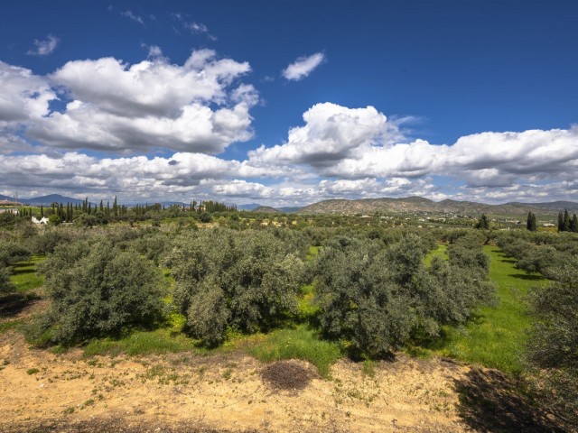 9 Soveroms Villa i Alhaurín el Grande