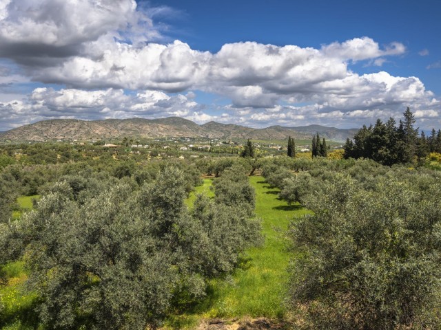 Villa avec 9 Chambres  à Alhaurín el Grande