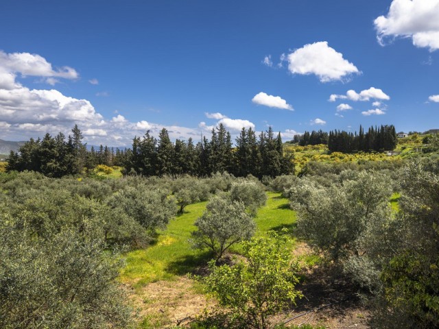Villa avec 9 Chambres  à Alhaurín el Grande