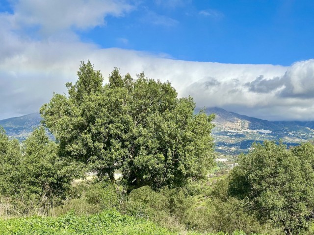 Plot, La Cala, R4964269