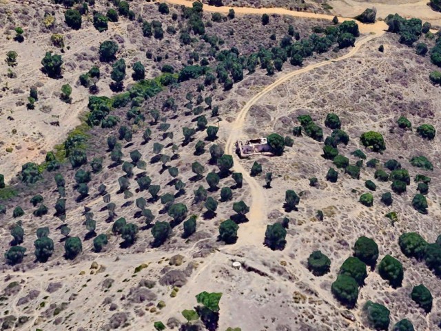  Terreno en La Cala