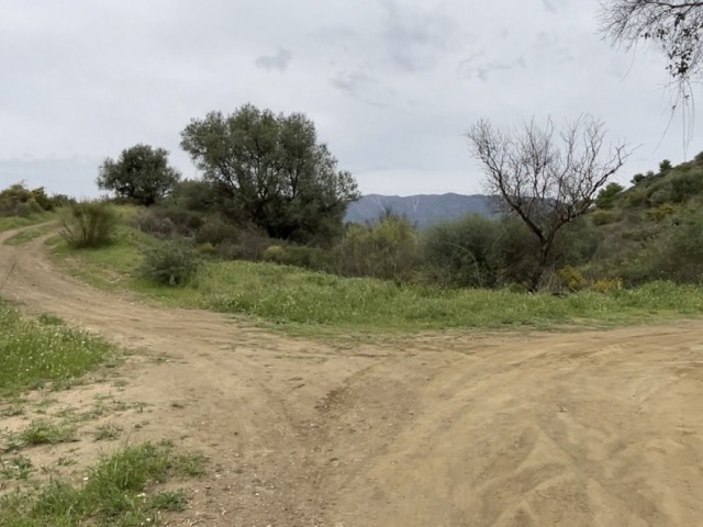  Terreno en La Cala