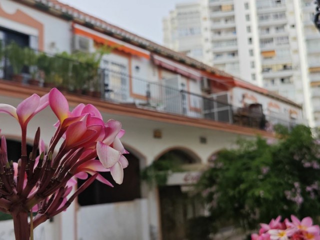Apartamento con 2 Dormitorios  en Benalmadena Costa