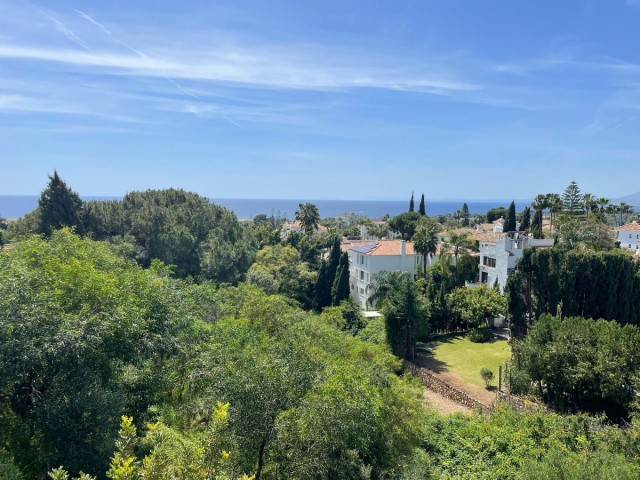 Plot, El Rosario, R5010340