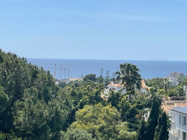 Plot, El Rosario, R5010340