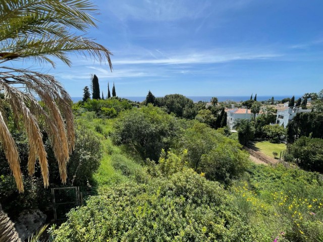  Plot in El Rosario