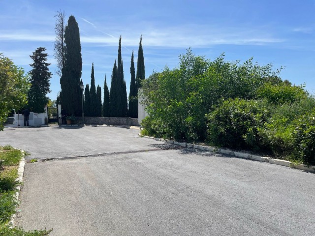  Plot in El Rosario