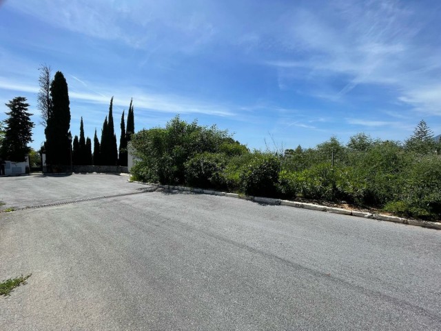  Plot in El Rosario