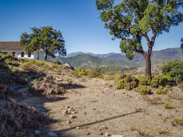  Perceel in La Zagaleta