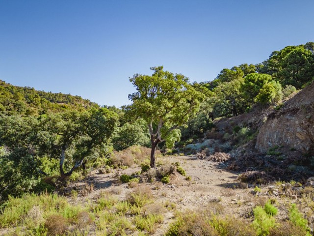  Perceel in La Zagaleta