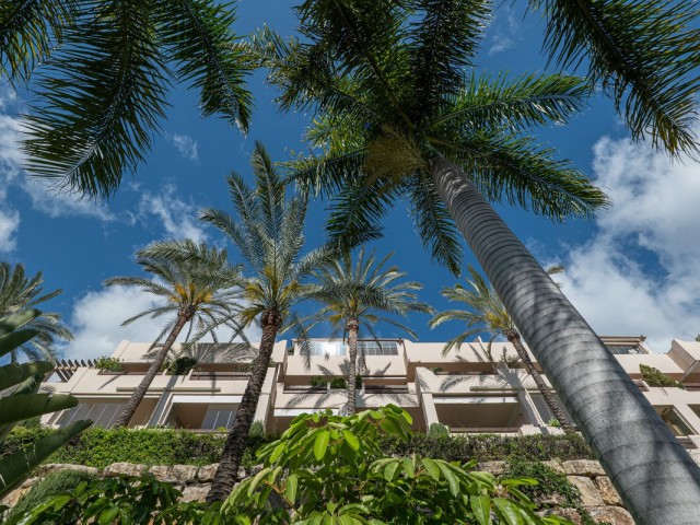 2 Bedrooms Apartment in El Paraiso