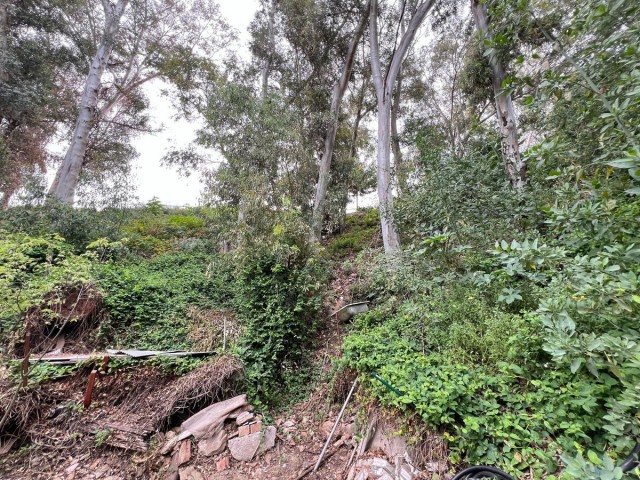 Plot Málaga - R5032747