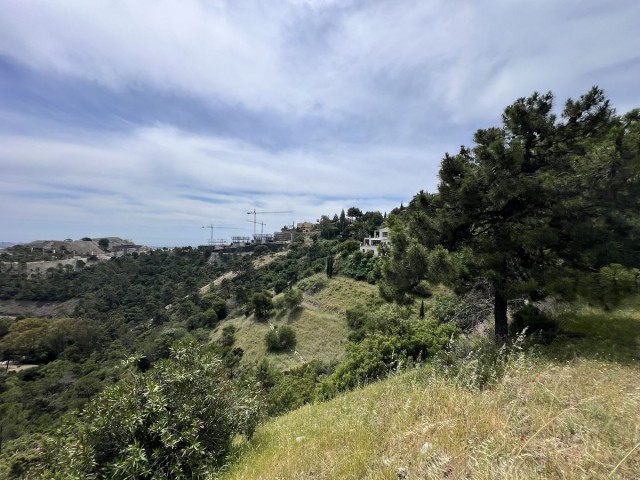 Terreno, El Madroñal, R5023939