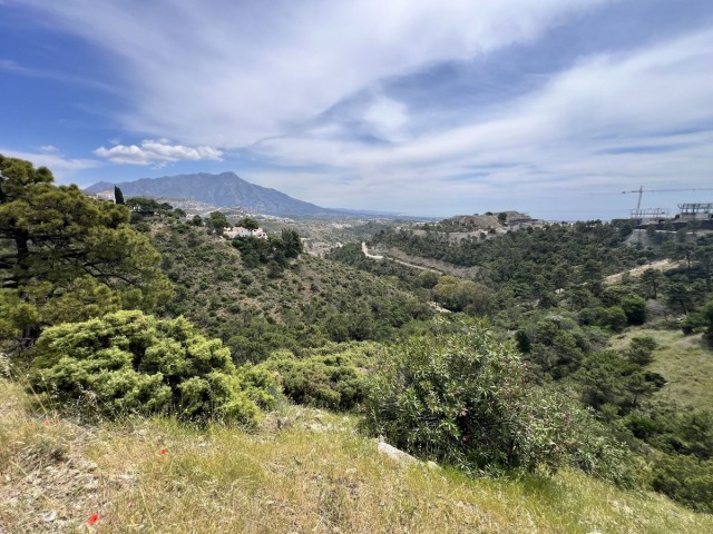 Terreno, El Madroñal, R5023939
