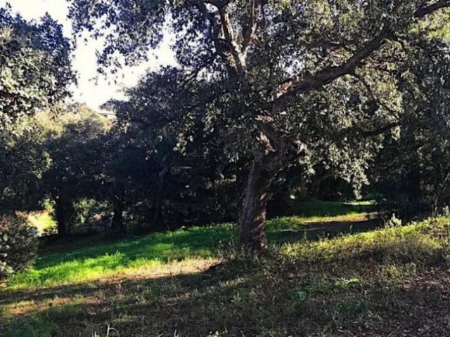 Perceel, Sotogrande Alto, R5045269