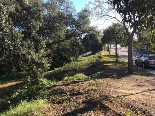  Tontti Sotogrande Alto