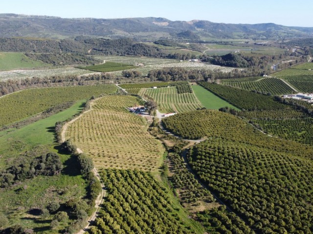  Terreno en Casares