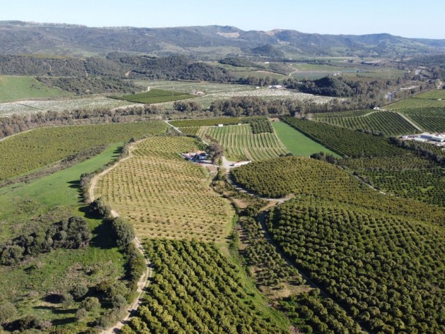  Terreno en Casares