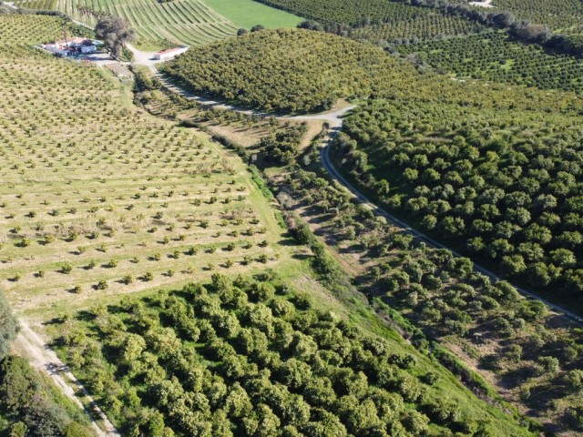  Terreno en Casares