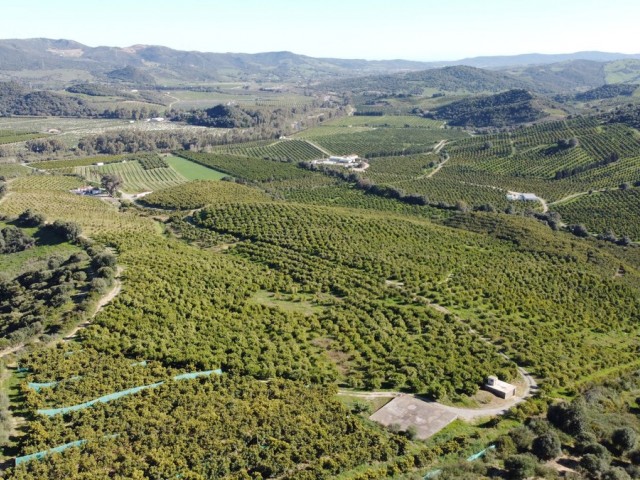  Terreno en Casares