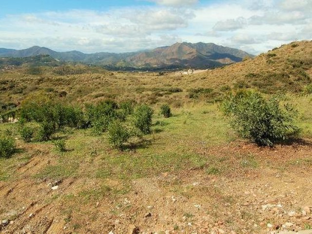 Plot Mijas - R5046007