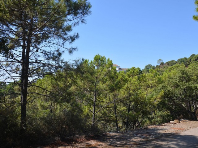 4 Soveroms Villa i Benahavís