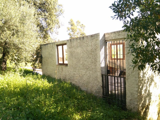  Plot in Marbella