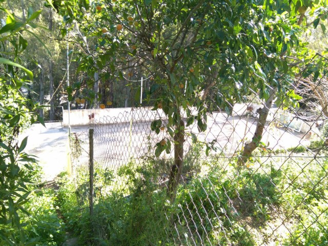 Plot in Marbella