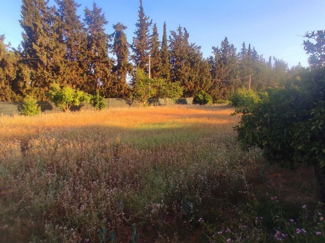 Villa, La Cala, R5060770