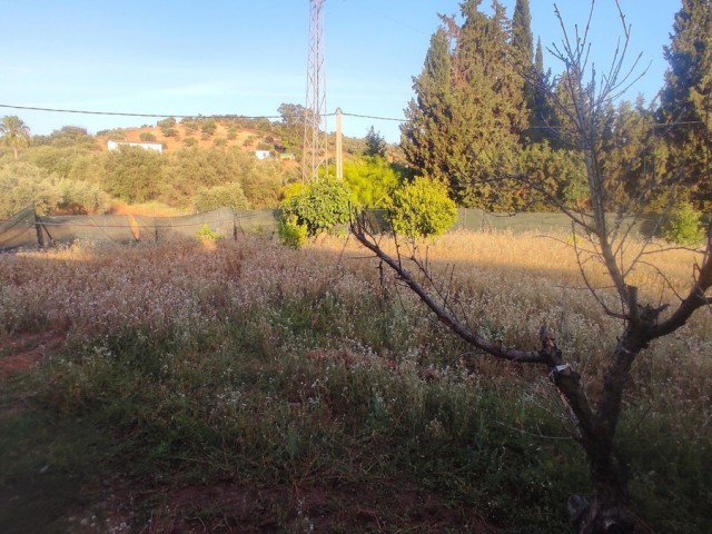 Villa avec 4 Chambres  à La Cala
