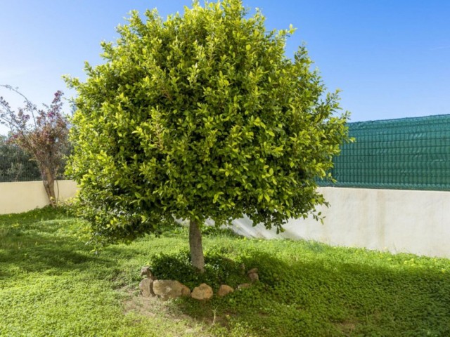 Apartment, La Cala, R5074006