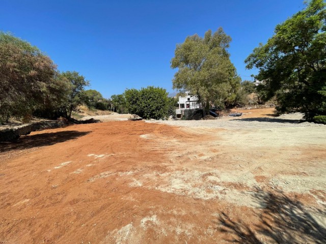 Plot, El Rosario, R5063884