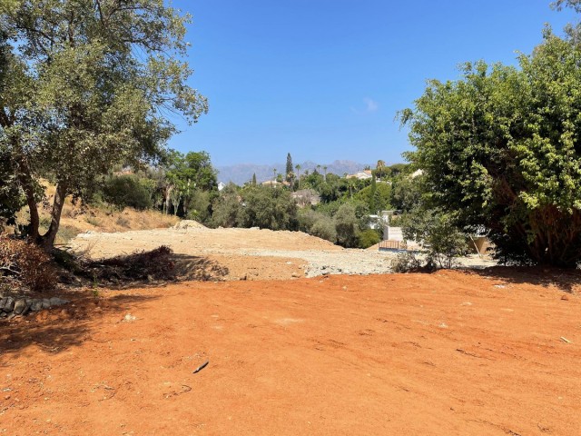  Plot in El Rosario