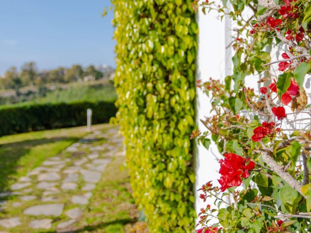 Penthouse, Los Arqueros, R5072401