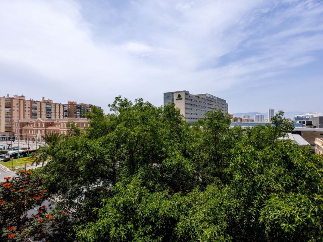 Apartment, Málaga