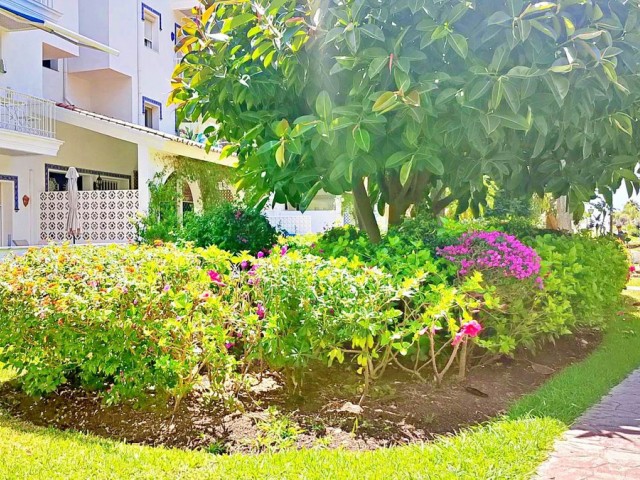 Studio in Puerto Banús