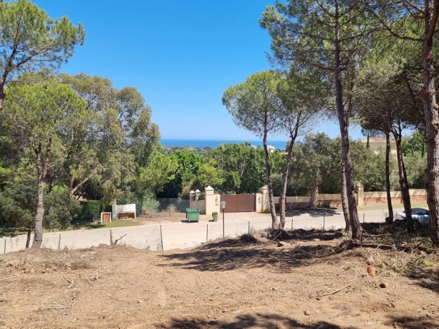  Plot in Sotogrande