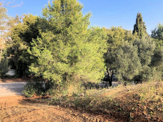 Terreno, Sotogrande Alto, R5085598