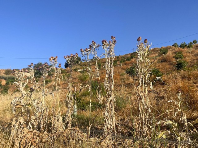 Terreno, Alhaurín el Grande, R5104012