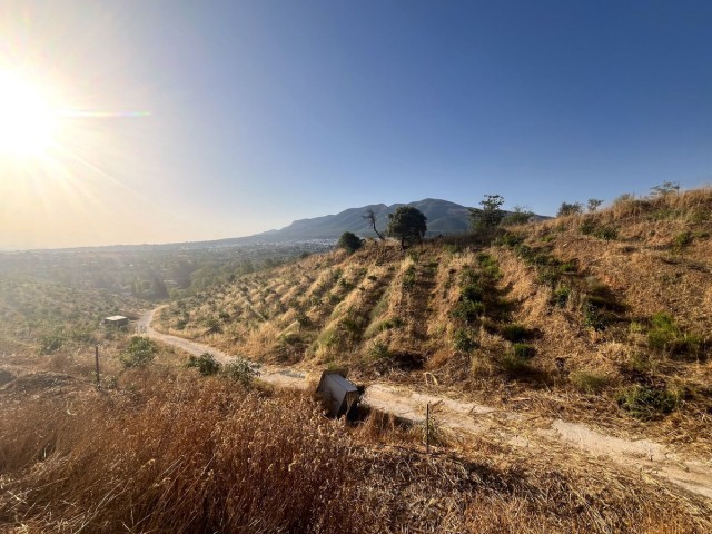 Terreno, Alhaurín el Grande, R5104012