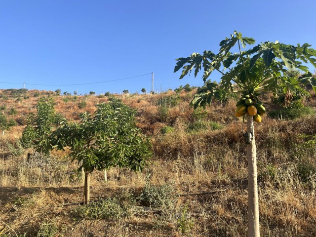 Terreno, Alhaurín el Grande, R5104012