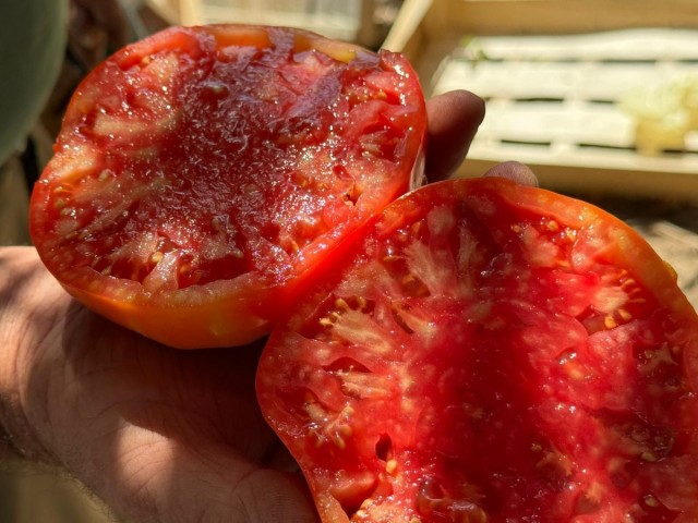  Terreno en Alhaurín el Grande