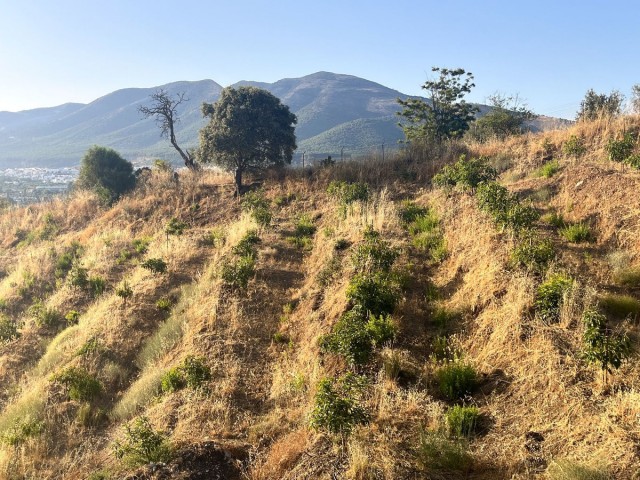  Terreno en Alhaurín el Grande