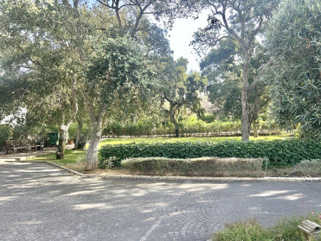 Terreno, Sotogrande Alto, R5104468