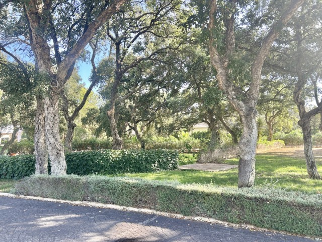 Terreno, Sotogrande Alto, R5104468